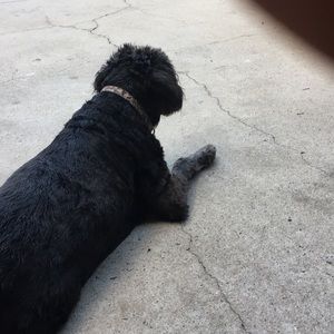 Meet your Posher, Glenn